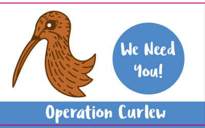 Operation Curlew – Calling for Volunteers