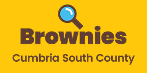 Brownies County Logo