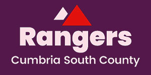 Rangers County Logo