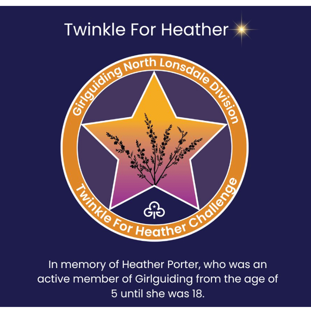 Twinkle for Heather Image